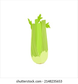 Celery green food. Organic plant. Vegetarian fresh nutrition. Isolated vector illustration in cartoon flat style. Collection of veggie