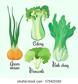Celery, green onion, broccoli and bok choy. Set. Vector illustration.