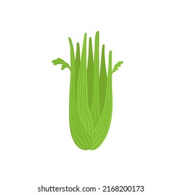 Celery hand drawn sketch vector doodle illustration. Green vegetables healthy food clipart