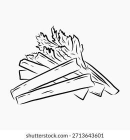 Celery handdrawn vector art illustration, simple sketch 