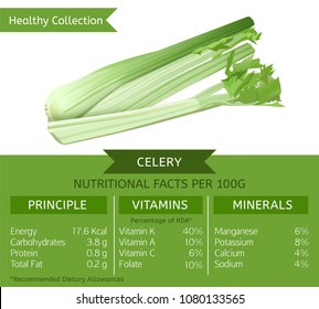 The celery health benefits. Vector illustration with useful nutritional facts. Essential vitamins and minerals in healthy food. Medical, healthcare and dietory concept.