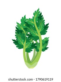 celery healthy vegetable isolated style icon vector illustration design