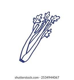 Celery herbs. Vegetable sketch. Hand drawn blue pen or marker drawing. Primitive kids picture