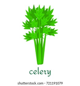 Celery icon in flat style. Isolated object, logo. Vegetable from the farm. Organic food. Vector illustration.