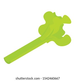 Celery icon. Isometric of celery vector icon for web design isolated on white background