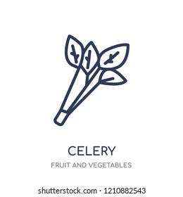 Celery icon. Celery linear symbol design from Fruit and vegetables collection. Simple outline element vector illustration on white background.