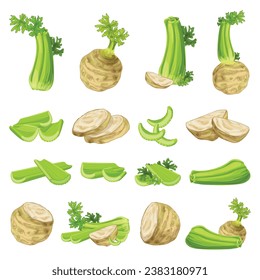 Celery icons set cartoon vector. Food healthy stalk. Eat fresh diet