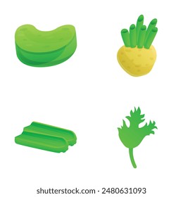 Celery icons set cartoon vector. Sliced green stem and round root. Healthy nutrition