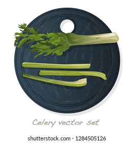 Celery illustration set on white backgrond. Vector image.