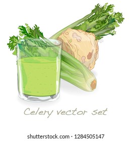 Celery illustration set on white backgrond. Vector image.