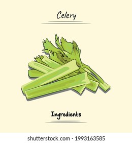 Celery Illustration Sketch And Vector Style. Good to use for restaurant menu, Food recipe book and food ingredients content.