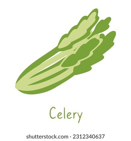 Celery isolated hand drawn illustration on a white background. Simple poster and card