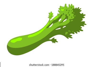 Celery isolated on a white background. Cartoon illustration - vector