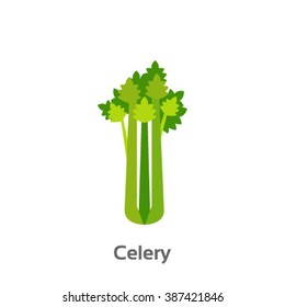 Celery Isolated Vector Icon