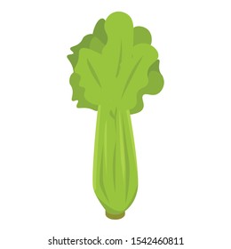 Celery leaf icon. Isometric of celery leaf vector icon for web design isolated on white background