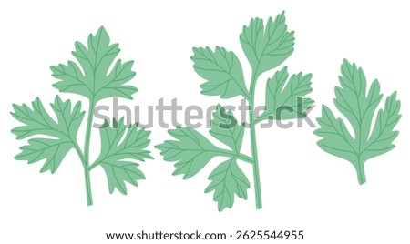 Celery leaves icon set in the flat style on white background.