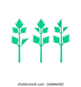 celery leaves on white background. concept of spring culinary, greenery, gourmet cuisine, vegetative smoothie, nourishment, invalid food, balanced meals. flat style modern design vector illustration