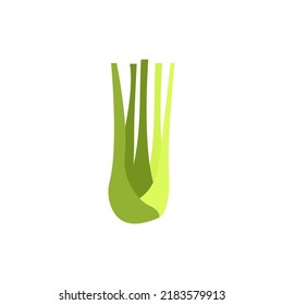 Celery leaves vector icon line colored EPS 10.... Vegetable flat illustration...Farm market product. Vegetarian food.... Fresh healthy organic food... Crop concept for vegan. Isolated on white.