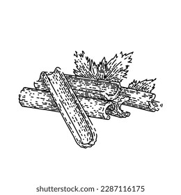celery organic hand drawn. fresh green, food vegetable, leaf ingredient, stalk diet, cooking raw celery organic vector sketch. isolated black illustration