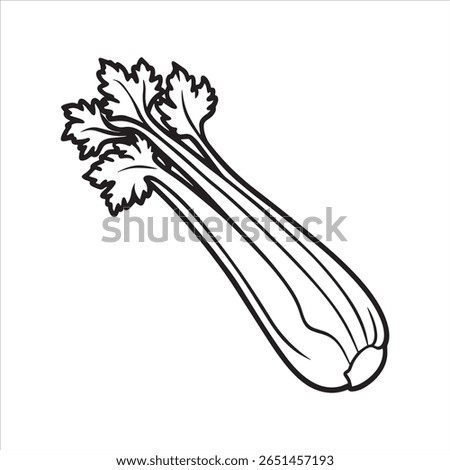 Celery outline line art illustration vector