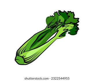 Celery plant. Isolated object of celery and bunch symbol. Graphic of celery.  Harvest vegetable. Agriculture cultivated plant. Green leaves. Flat vector color Illustration clipart. Vitamins