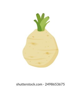 celery root flat design vector illustration isolated on white background. Icon of celeriac herb. Raw fresh vegetable. Aromatic food plant. Tuber of celeriac or knob celery  with green stalk shoots