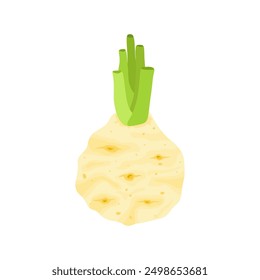 celery root flat design vector illustration isolated on white background. Icon of celeriac herb. Raw fresh vegetable. Aromatic food plant. Tuber of celeriac or knob celery  with green stalk shoots