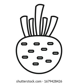 Celery root icon. Outline celery root vector icon for web design isolated on white background