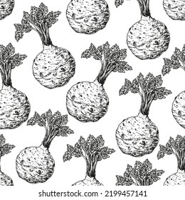 Celery root seamless pattern. Hand drawn background. Vector illustration. Hand drawing sketch illustration.  Celery root vegetable hand drawn backdrop.