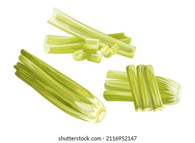 Celery set. Cartoon style. Stem, whole, and cut. Fresh vegetable icons. Vector illustrations isolated on white background.