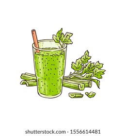 Celery smoothie in glass - healthy green blended vegetable drink for summer detox or vitamin nutrition with straw and leaf garnish. Isolated flat drawing vector illustration.