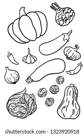 Celery, squash, sprouts, eggplant, garlic, onions. Set of hand drawn line vegetables. Isolated on white background and grouped for easy selection. Design elements, stickers or poster.