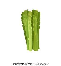 Celery stalk on white background. Healthy food.