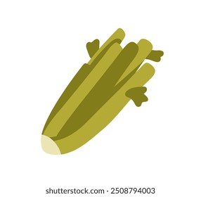 Celery stalks, fresh green bunch, healthy diet food. Crunchy vegetable stems, natural snack. Organic superfood, eating. Flat graphic vector illustration isolated on white background