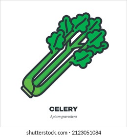 Celery stalks vegetable icon, outline with color fill style vector illustration