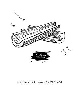 Celery stick hand drawn vector illustration. Isolated Vegetable engraved style object. Detailed vegetarian food drawing. Farm market product. Great for menu, label, icon