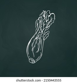 Celery thin white lines on a textural dark background - Vector illustration