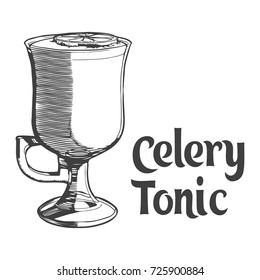 Celery tonic vintage art. Vector illustration. Celery gin. Hand drawn
