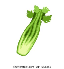 Celery. Useful food, green vegetables, celery stalk and leaves. Useful side dish, a dish for vegetarians. Icon, clipart for website about groceries, selling vegetables. Vector flat illustration
