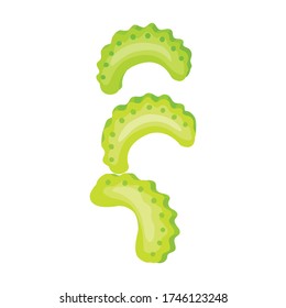 Celery vector icon.Cartoon vector icon isolated on white background celery.