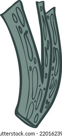 celery vector isolated illustration sketch
