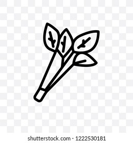 Celery vector linear icon isolated on transparent background, Celery transparency concept can be used for web and mobile