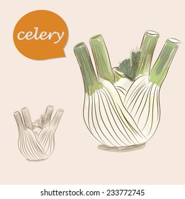 celery. vector sketches 