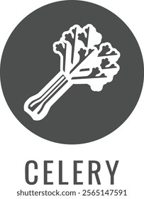 Celery vegetable food stylised icon concept. Possibly an icon for the allergen or allergy.