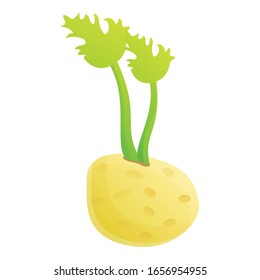 Celery vegetable icon. Cartoon of celery vegetable vector icon for web design isolated on white background