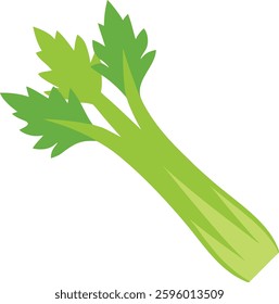 Celery vegetable illustration featuring crisp green stalks and leafy tops. Perfect for healthy food designs, organic labels, and nutrition concepts. Ideal for digital art, packaging