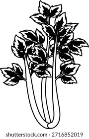 Ilustración de sombra de mono vegetal de apio