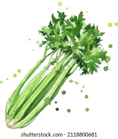 Celery watercolor illustration hand painted