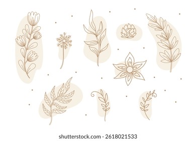 Celestial abstract set of decorative line art flowers, plants and grass vector illustration. Mystical esoteric boho design in trendy colors for fabric design, tarot, astrology, wrapping paper