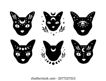 Celestial animal vector illustration set. Mystical black cat head. Esoteric concept with crescent moon phase. Boho modern poster, witchy card, magical t-shirt print, sticker. Witchcraft symbol.